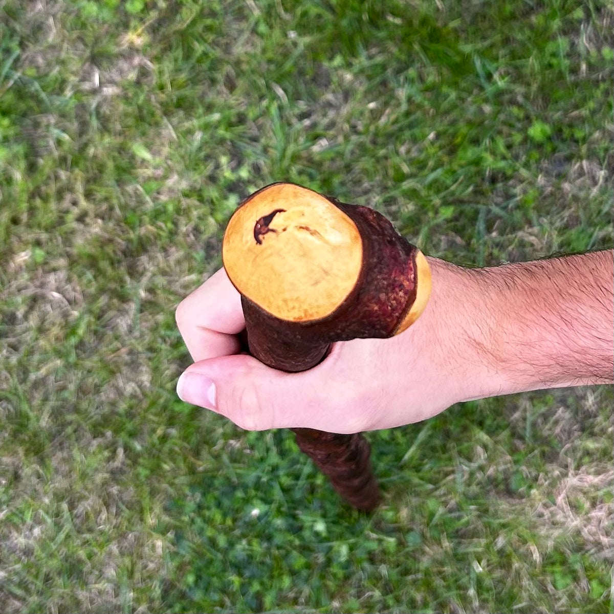 Rustic Blackthorn Shillelagh Thumb Rest Knob Stick – 100 cm (39.4”)