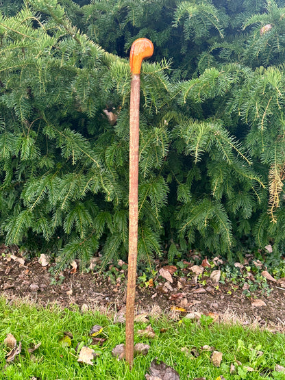 Irish Hazel Stick with Spalted Yew Head – 40”