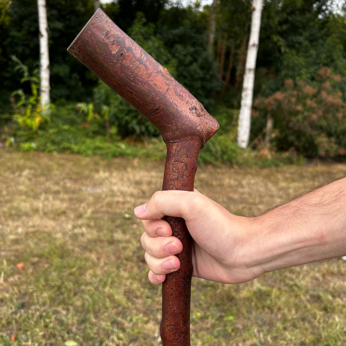 Chunky Blackthorn Shillelagh Sloped L Handle – 98.1 cm (38.6”)