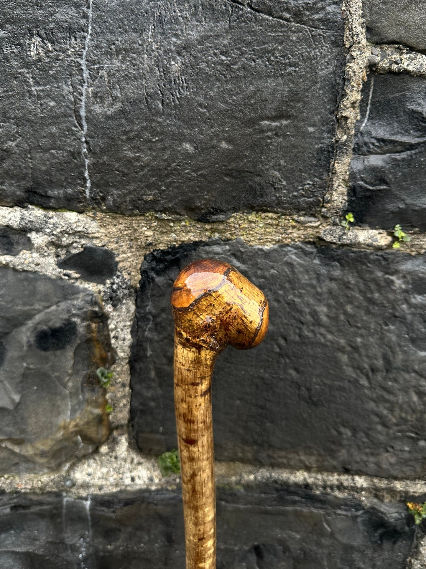 Hazel Walking Stick with Knob Finish – 100 cm (39.4”)