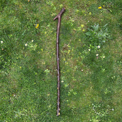 Blackthorn Shillelagh with Sloped L Handle Tail – 102 cm (40.1”)