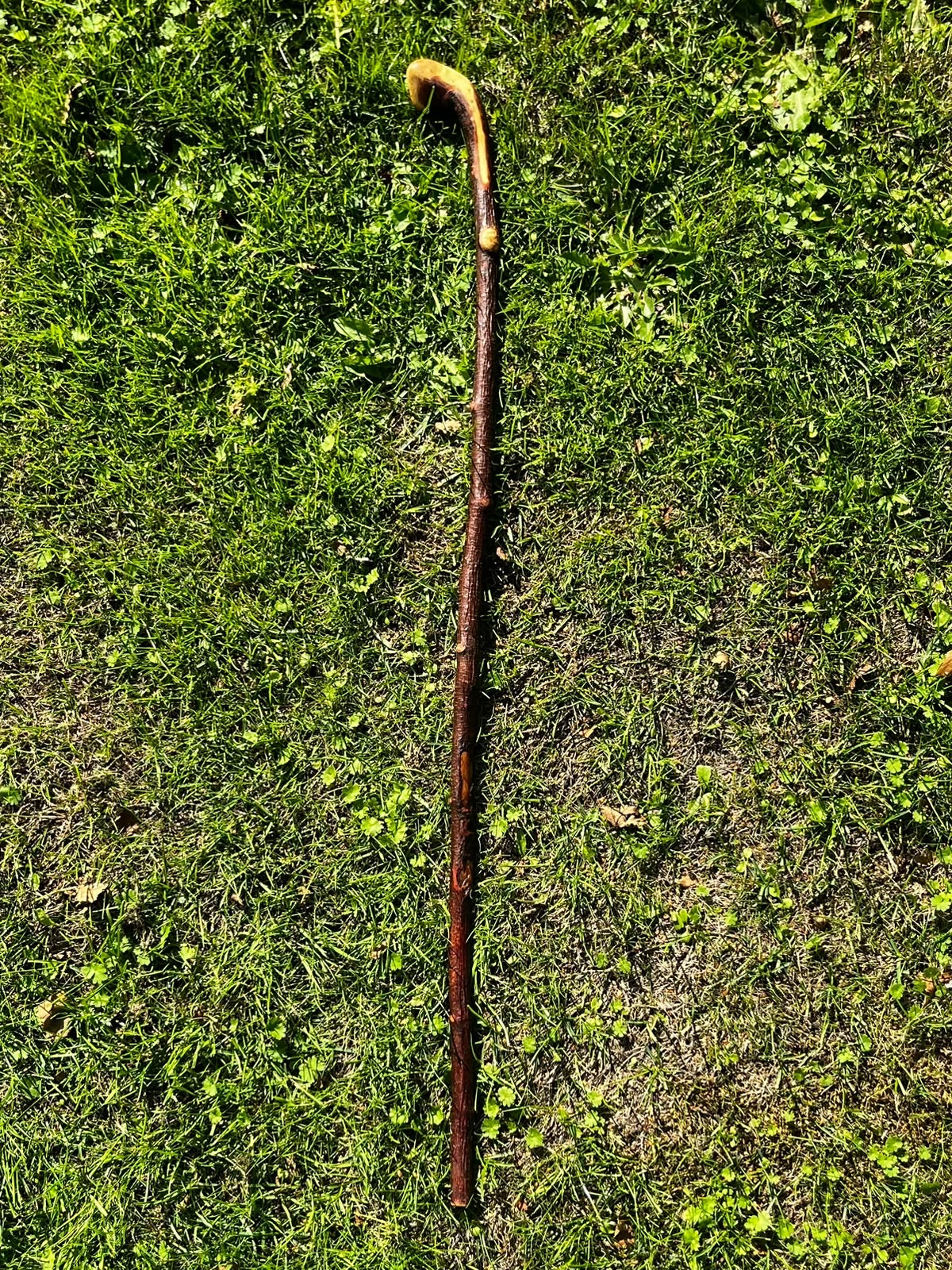 Blackthorn Knob Shillelagh Walking Stick – 91 cm (35.8”)