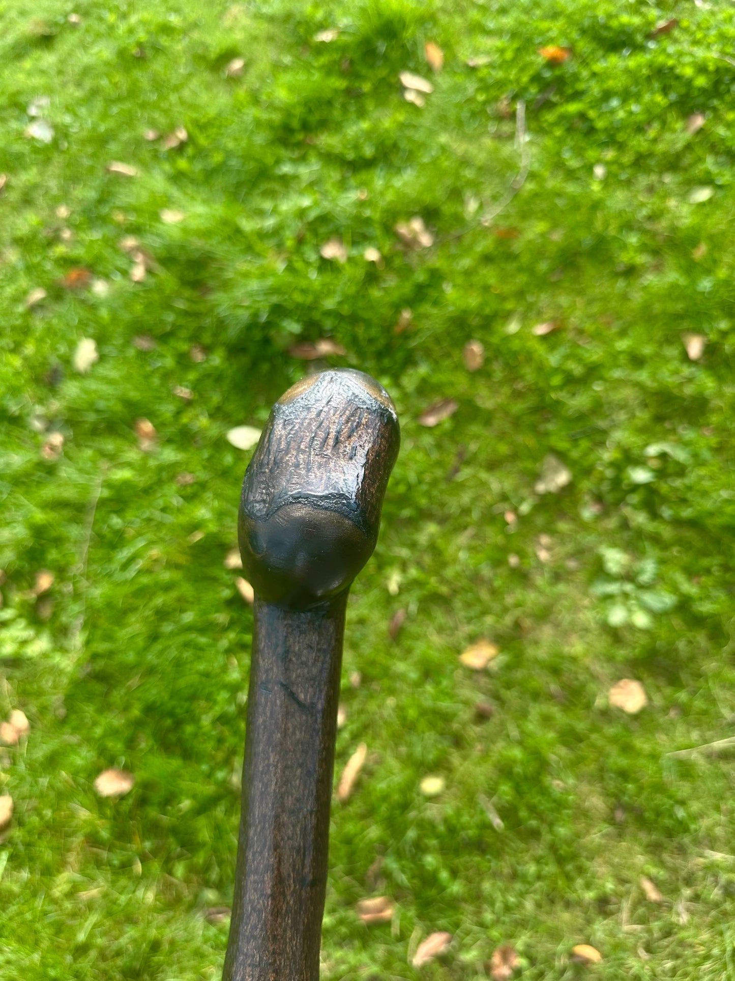 Blackthorn Walking Stick with Round Handle – Black Painted - 105 cm / 41 inches