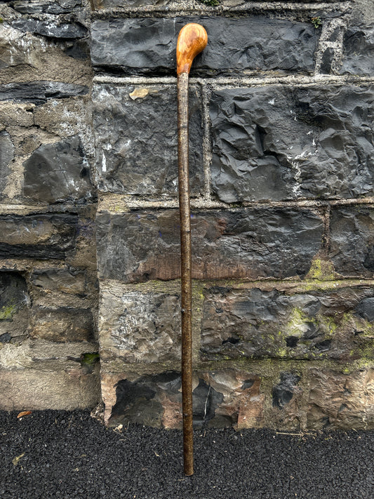 Two-Piece Hazel Walking Stick with Spalted Beech Head – 90 cm (35.4”)
