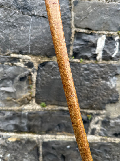 Sold - Hazel Walking Stick with Large Knob Head – 103 cm (40.5”)