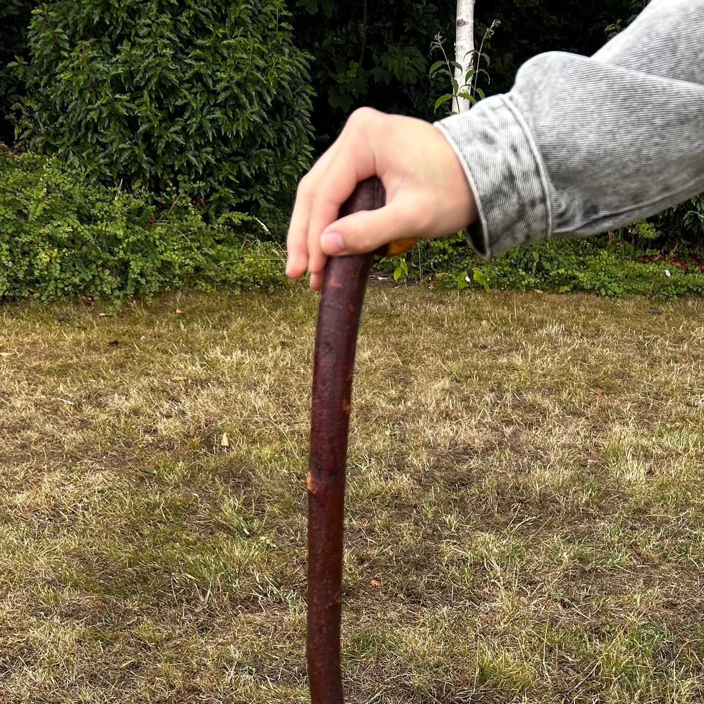 Chunky Blackthorn Shillelagh Knob Stick – 93 cm (36.6”)