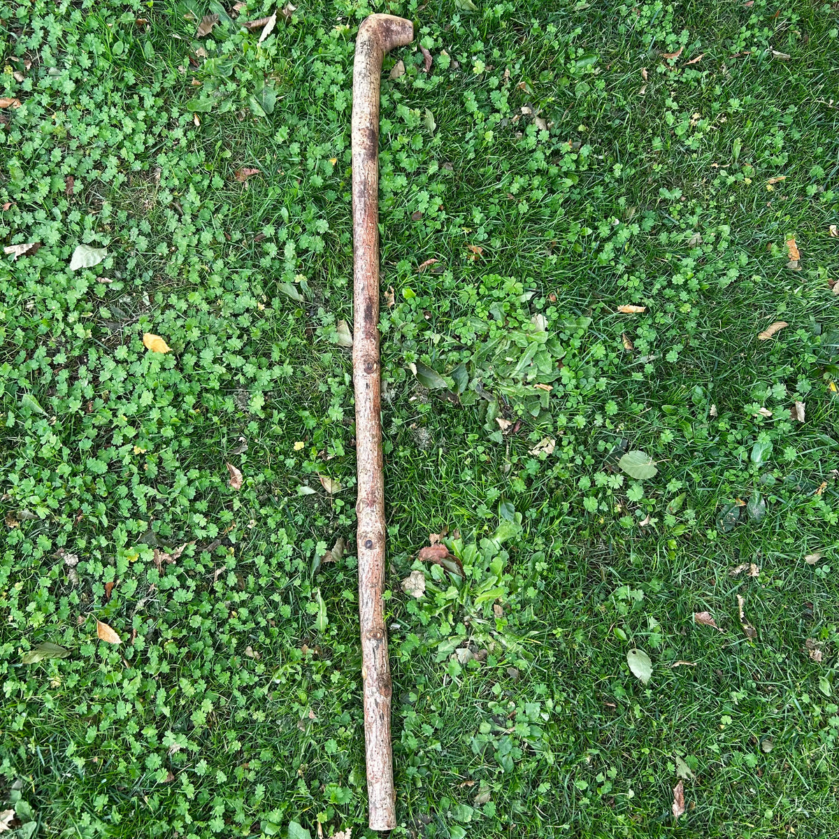 Lightweight Irish Walking Stick with Small Handle – 96 cm (37.8”)