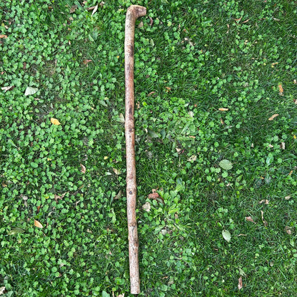 Lightweight Irish Walking Stick with Small Handle – 96 cm (37.8”)