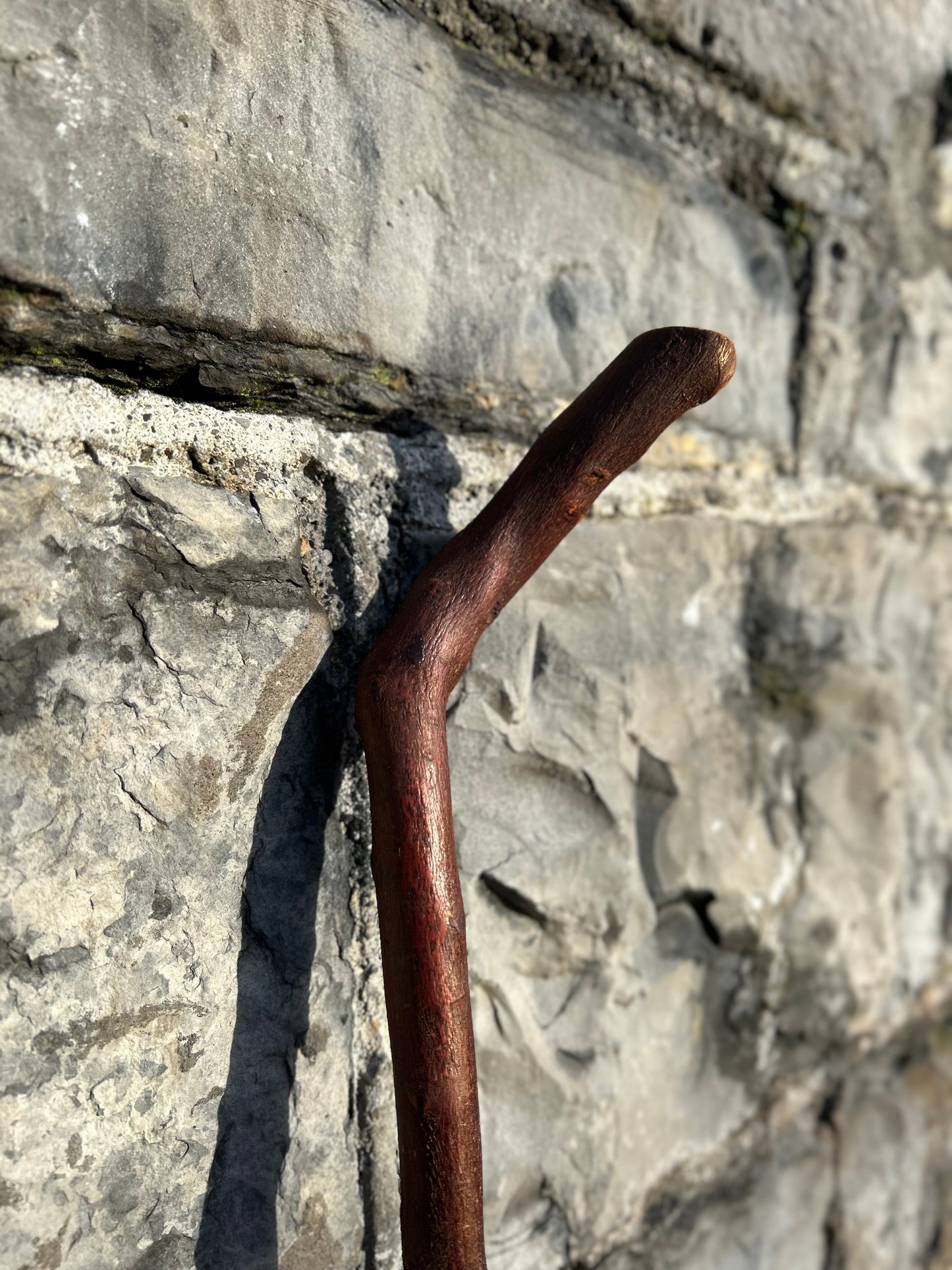 Blackthorn Walking Stick with 45° L Handle – 90 cm (35.4”)