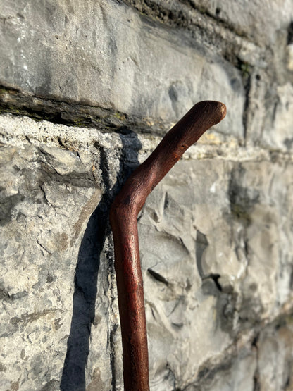 Blackthorn Walking Stick with 45° L Handle – 90 cm (35.4”)