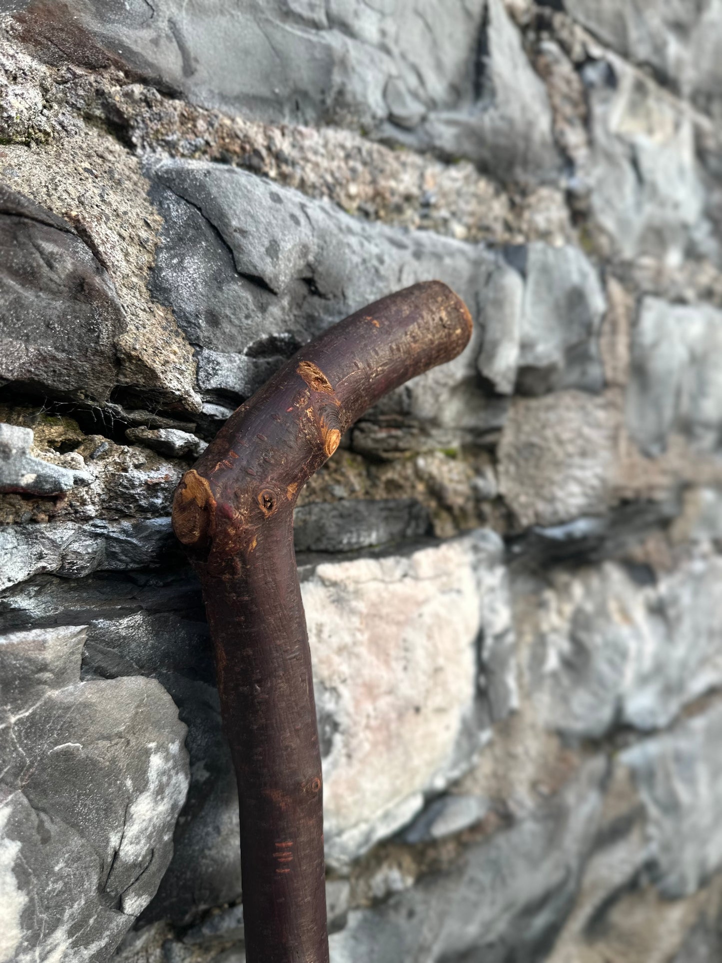 Blackthorn Walking Stick with Large L Handle – 101 cm (39.7”)