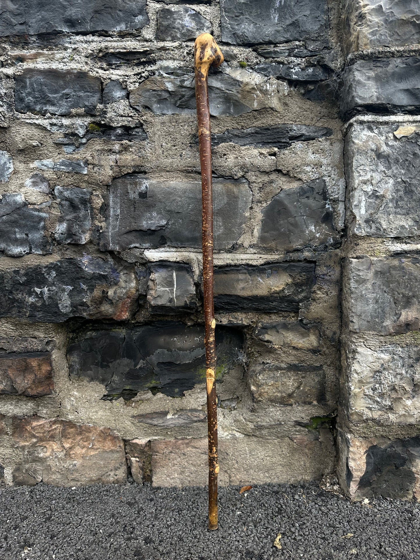 Irish Holly Walking Stick with Small L Handle – 106 cm (41.7”)