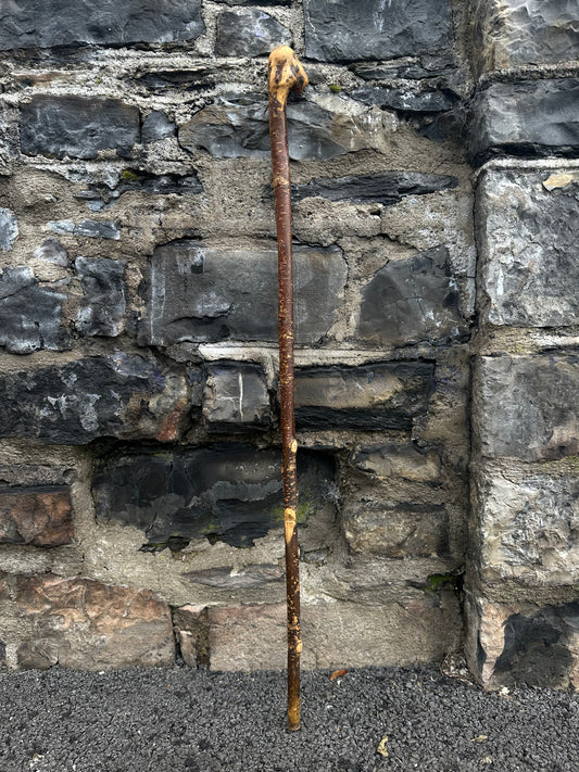 Irish Holly Walking Stick with Small L Handle – 106 cm (41.7”)