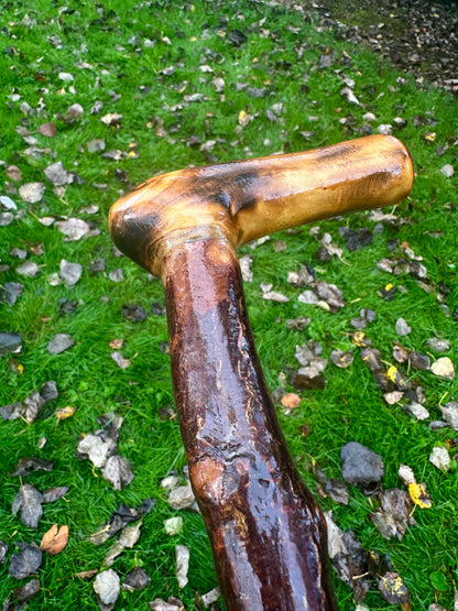 Irish Blackthorn Walking Stick with L Handle – 38”