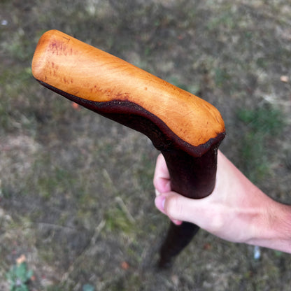 Long Chunky Blackthorn Shillelagh L Handle – 105 cm (41.3”)