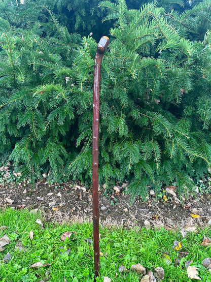 Irish Blackthorn Walking Stick – 40”