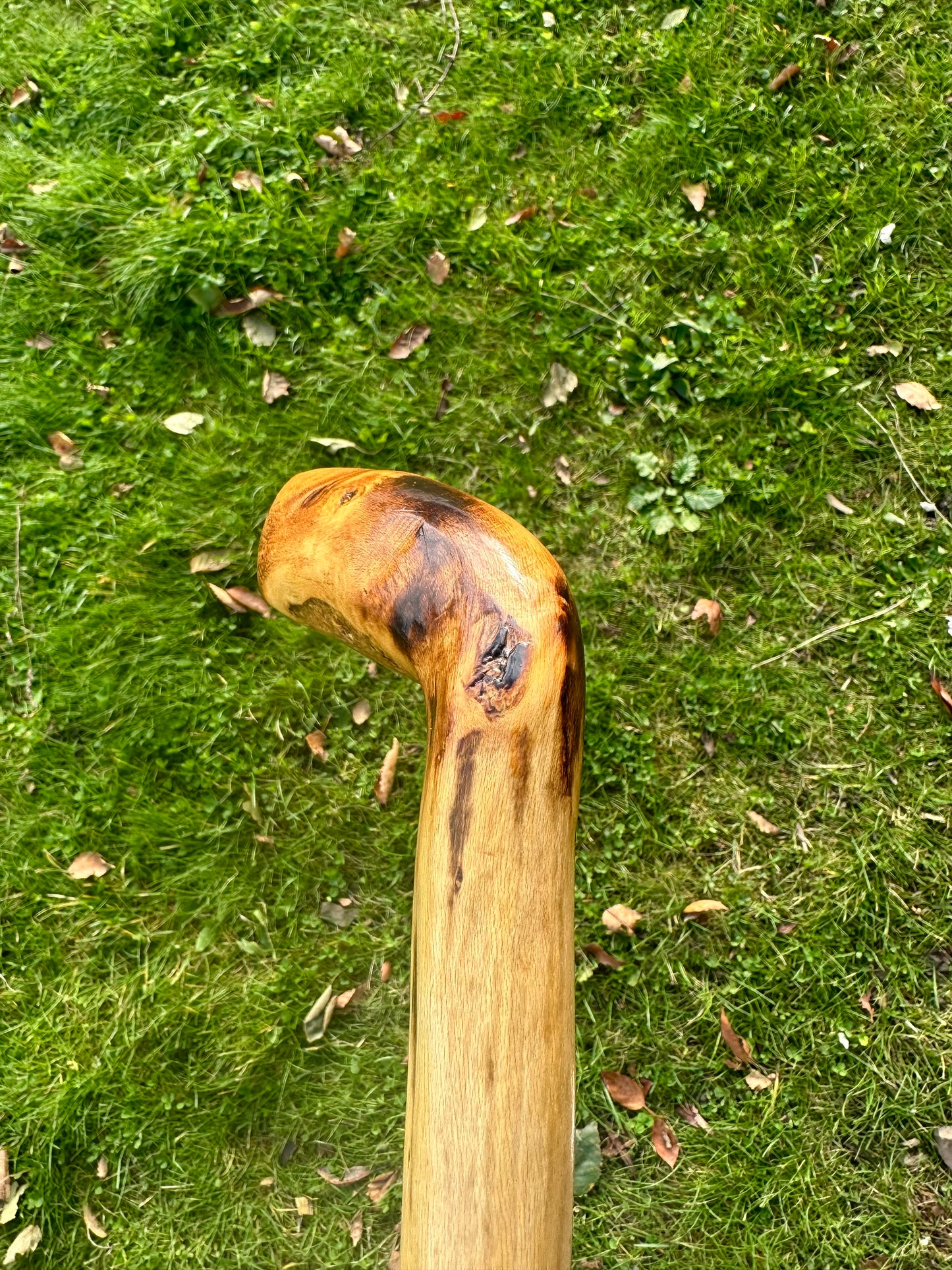 Hazel Walking Stick with L Handle - 105 cm / 41 inches