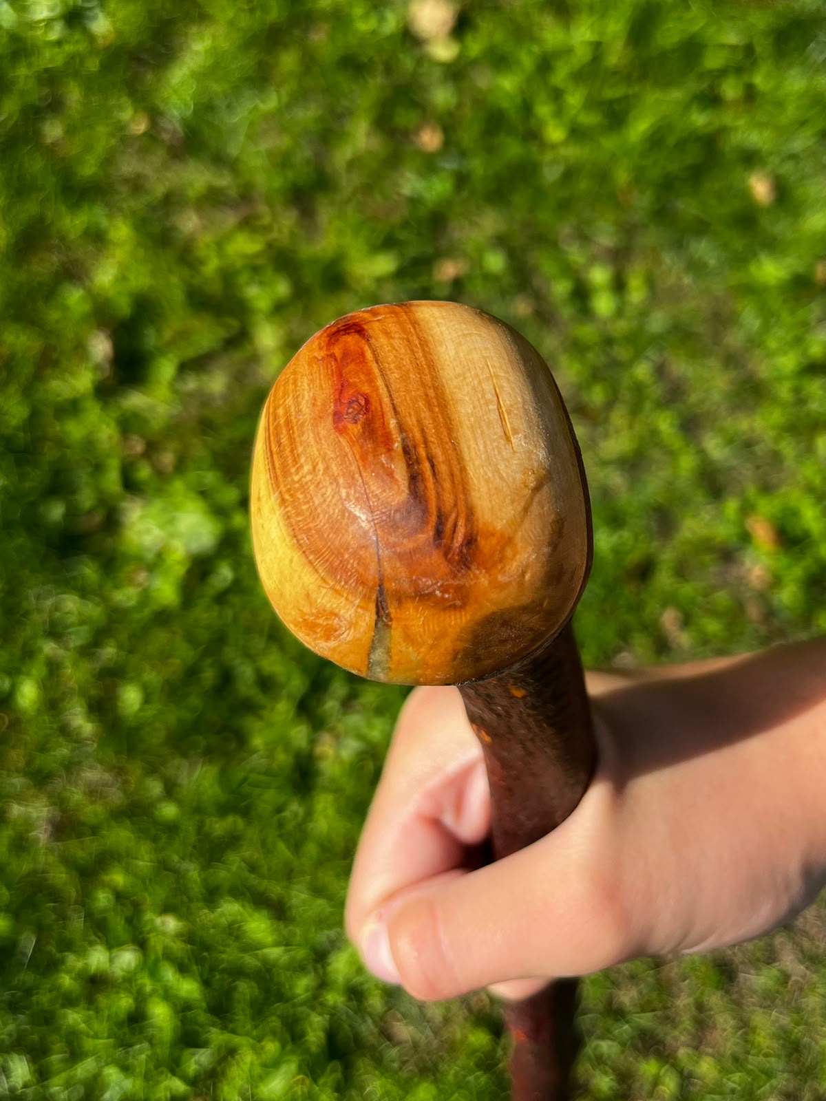 Blackthorn Large Round Knob Shillelagh Walking Stick – 85 cm (33.4”)