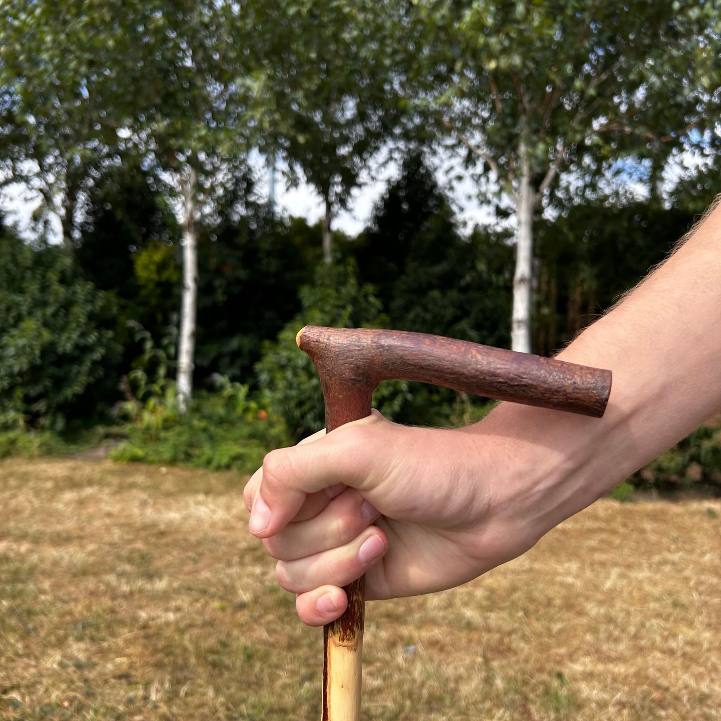 Blackthorn Shillelagh Light L Handle with Natural Bark – 93 cm (36.6”)