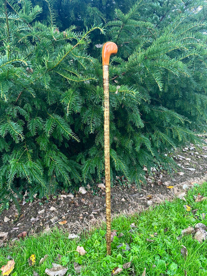 Mottled Hazel Walking Stick with Yew Head – 40”