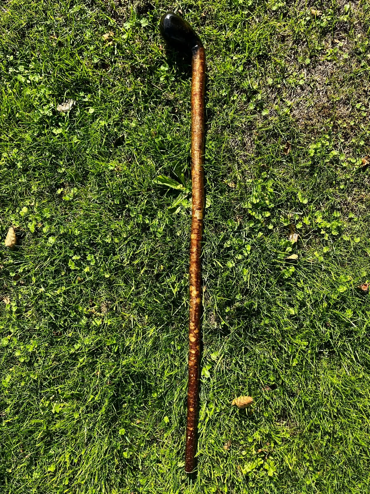 Large Dark Knob Hazel Walking Stick – 99 cm (39”)