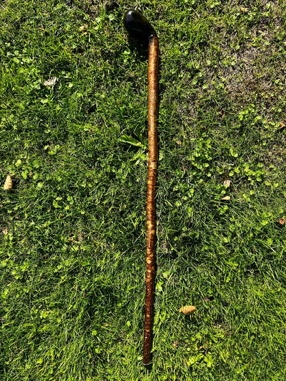 Hazel Black Head - Shillelagh