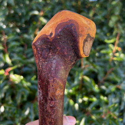 Knarly Root Ball Blackthorn Shillelagh – 92 cm (36.2”)