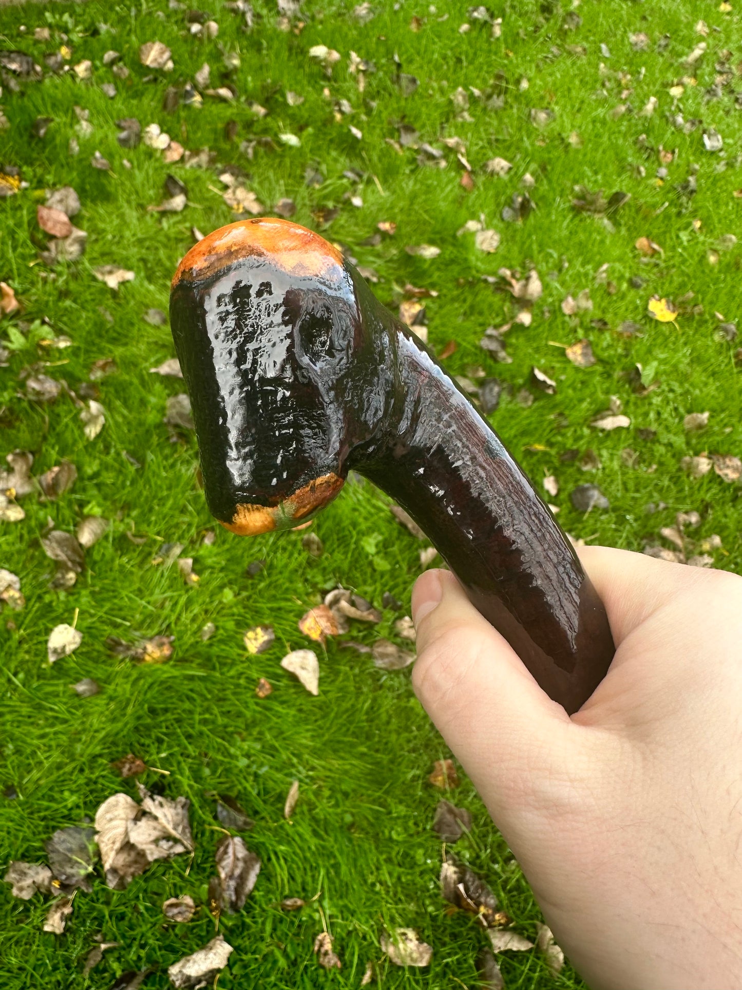 Irish Blackthorn Walking Stick – 37.5”