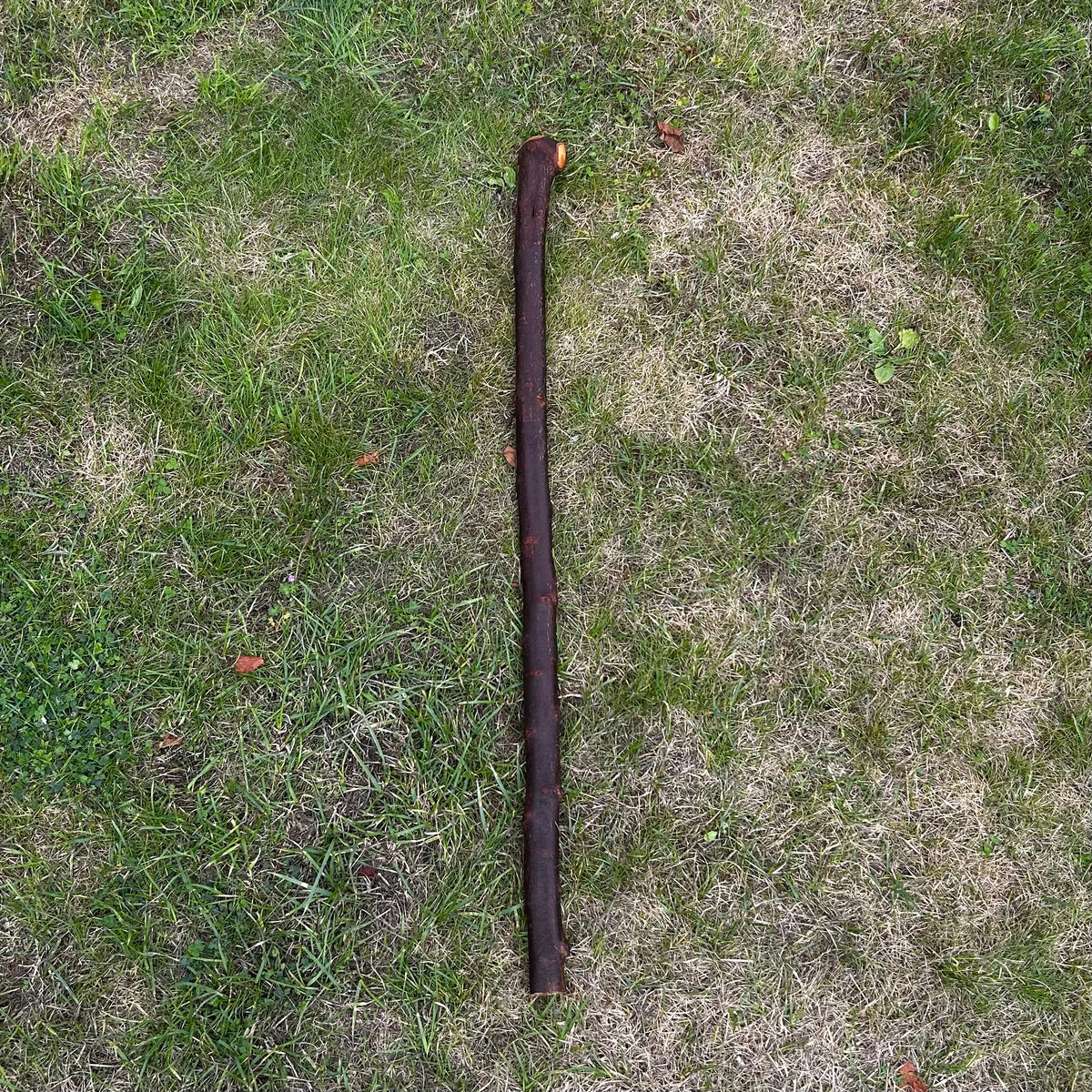 Thick Blackthorn Shillelagh Round Knob Stick – 96 cm (37.8”)