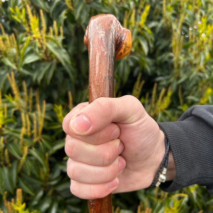 Blackthorn Shillelagh Knob Stick with Varnish Finish – 101 cm (39.7”)