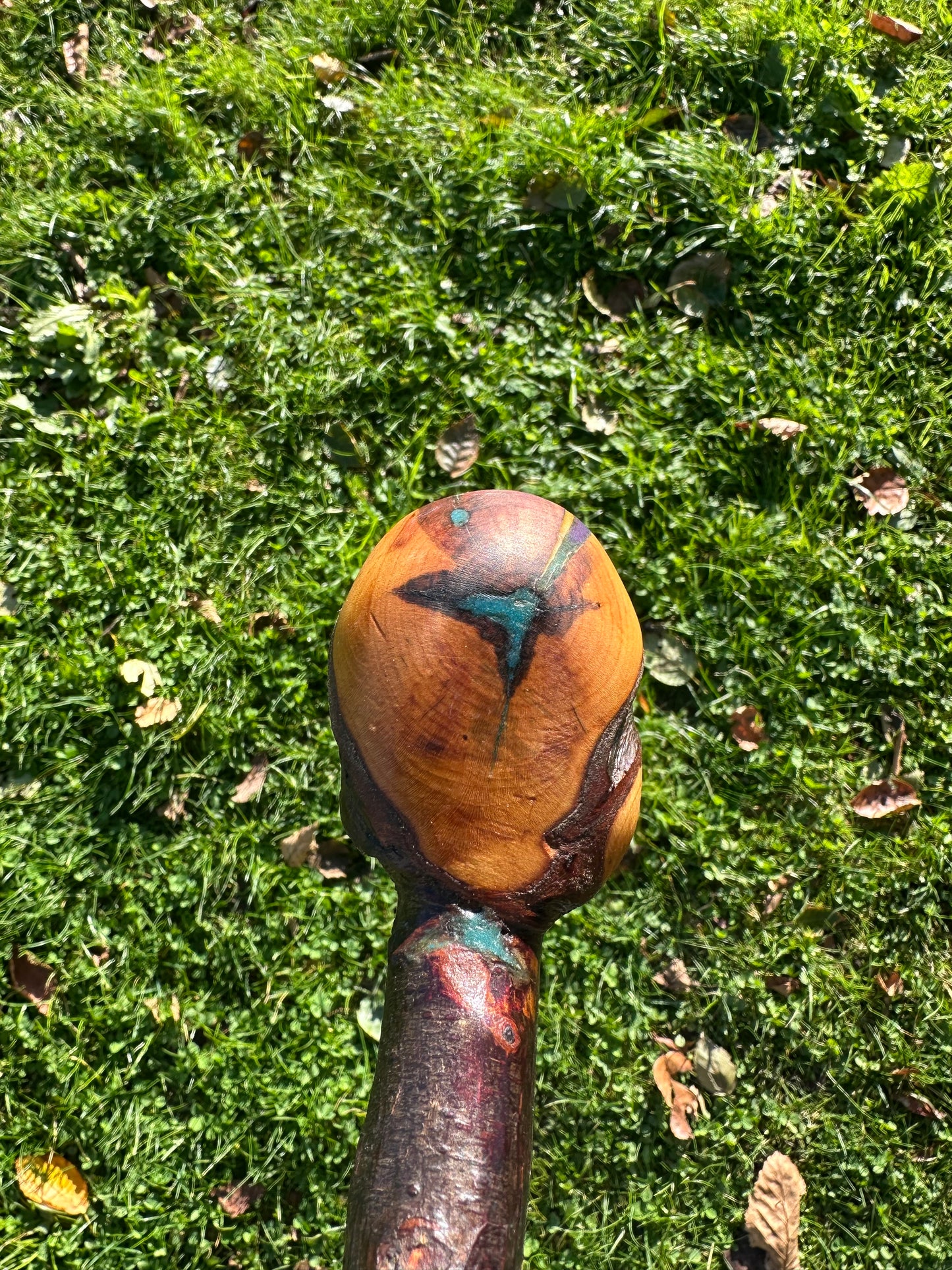 Blackthorn Walking Stick with Round Handle - 85 cm / 33.5 inches