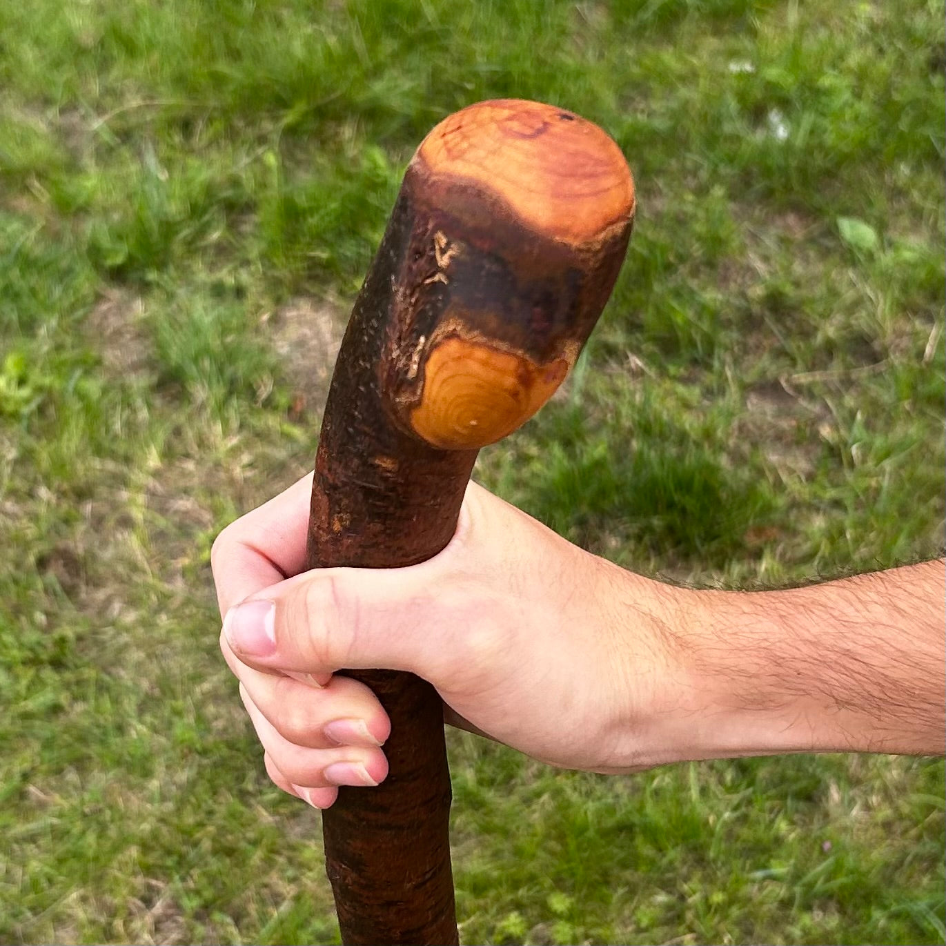 Mature Blackthorn Shillelagh with Knob Handle – 103 cm (40.6”)
