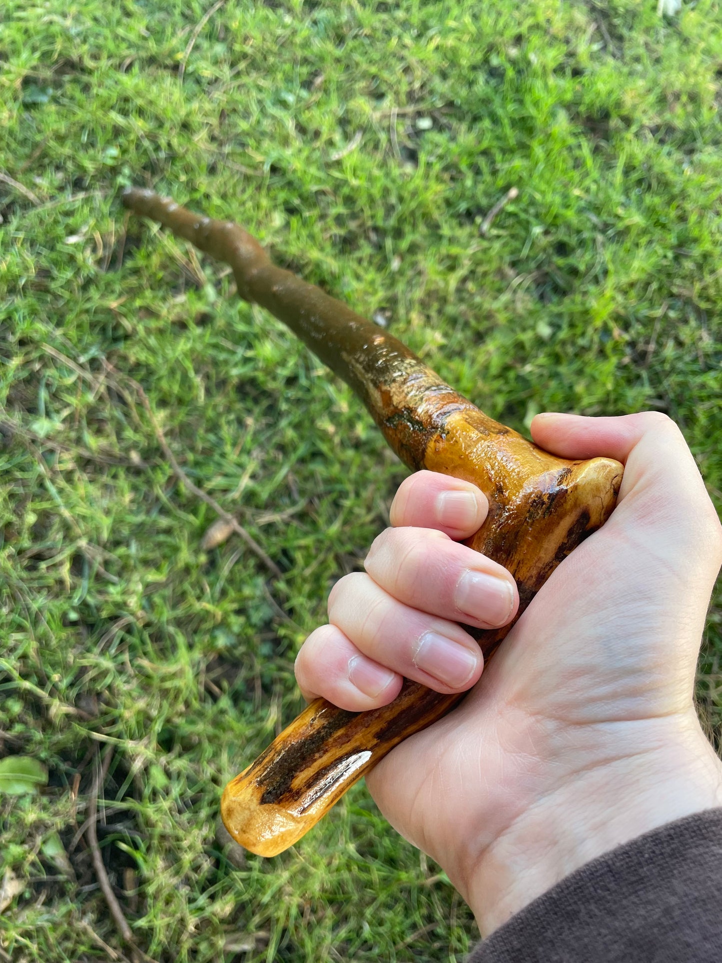 Blackthorn walking stick with L Handle