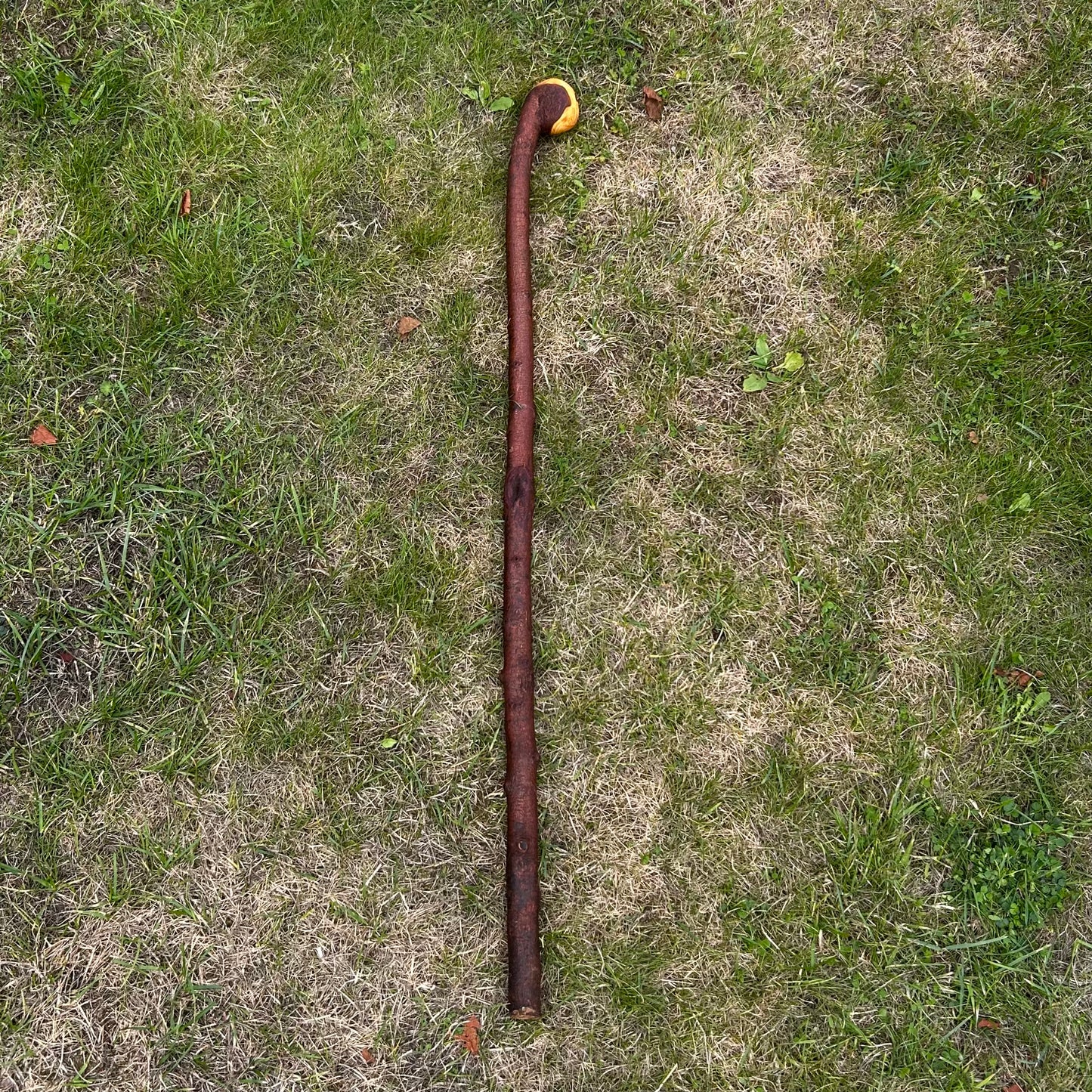 Round Knob Blackthorn Shillelagh – 103 cm (40.6”)