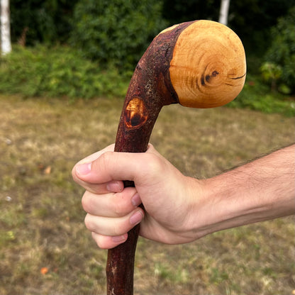 Leaning Knob Blackthorn Shillelagh – 98.9 cm (38.9”)