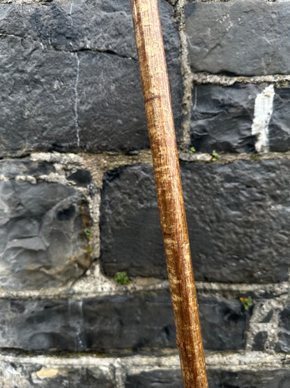 Hazel Walking Stick with Knob Finish – 100 cm (39.4”)