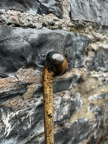 Hazel Walking Stick with Large Dark-Finished Knob Head – 100 cm (39.4”)