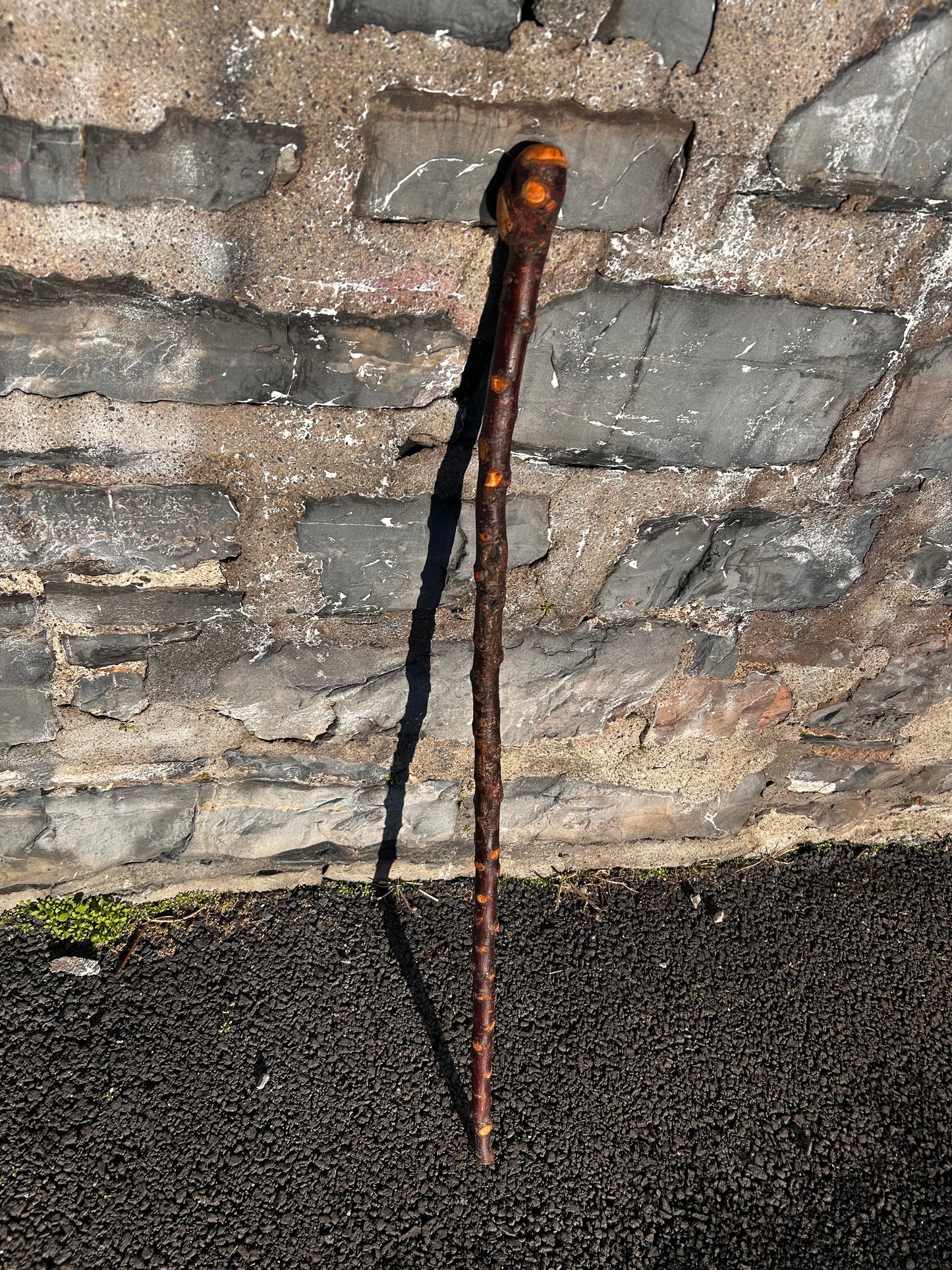 Raspy Shaft Blackthorn Shillelagh - 96 cm (37")