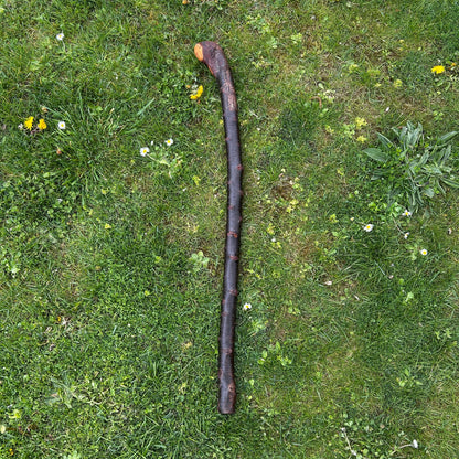 Heavy Gnarly Blackthorn Shillelagh Root Ball Stick – 98 cm (38.5”)