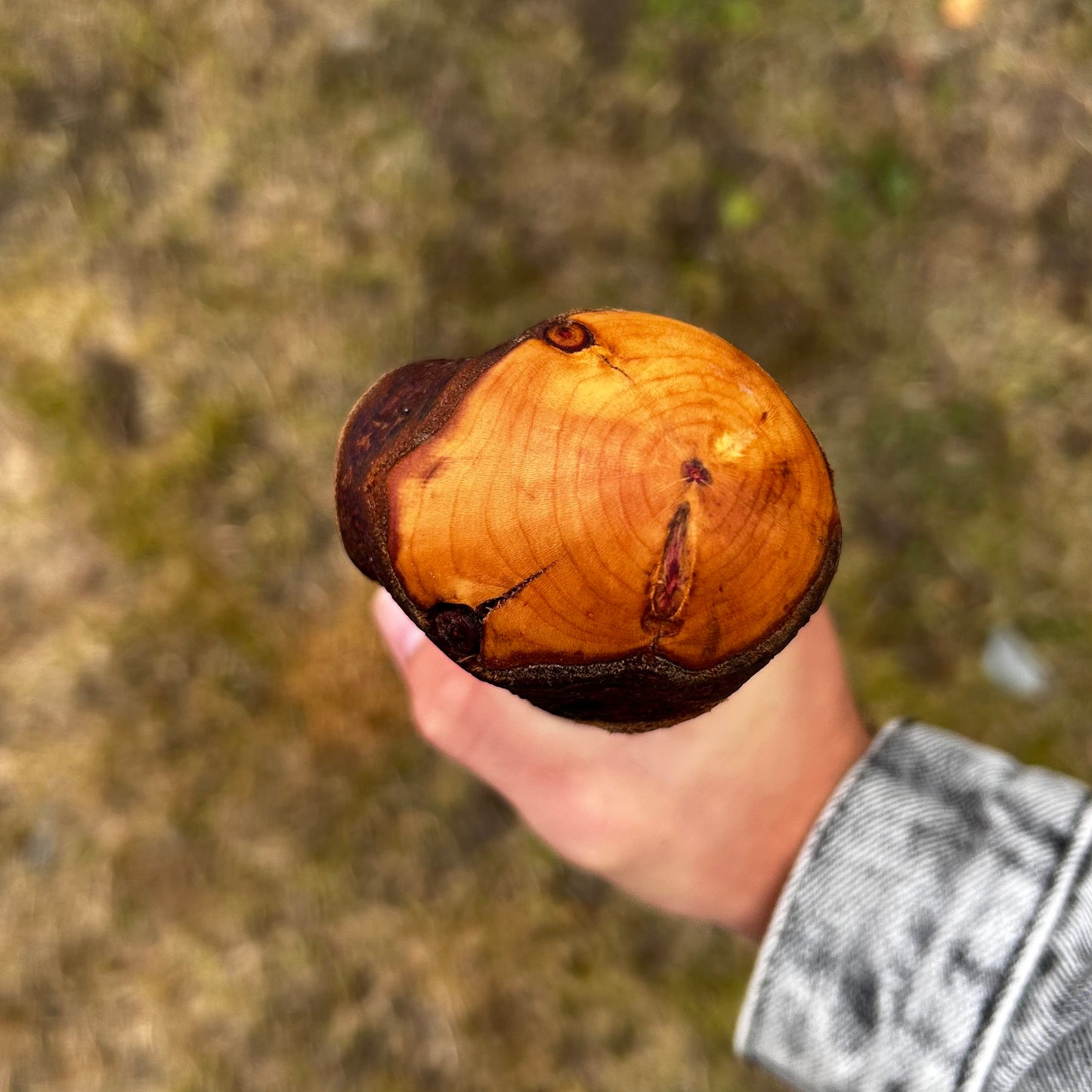 Large Chunky Knob Blackthorn Shillelagh – 93.5 cm (36.8”)