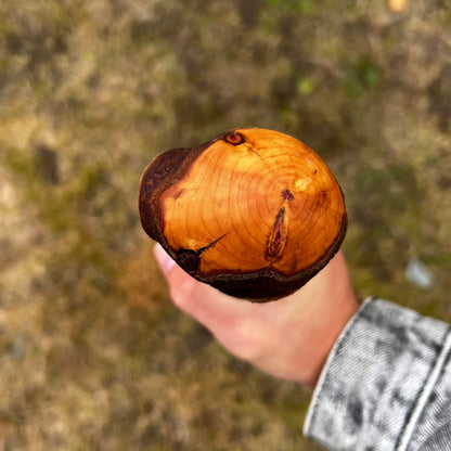 Large Chunky Knob Blackthorn Shillelagh – 93.5 cm (36.8”)
