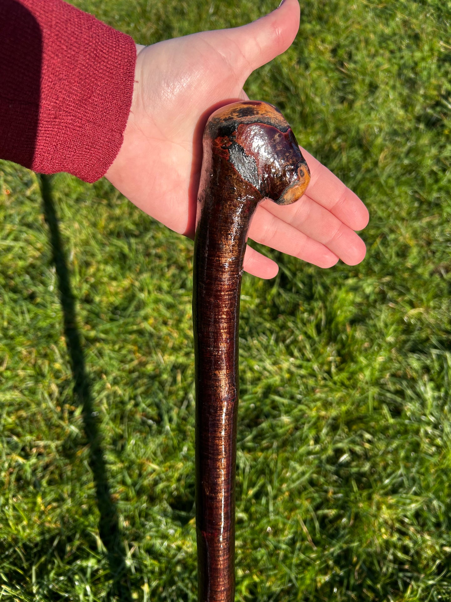 Blackthorn Shillelagh with Small Handle - 99 cm / 39 inches