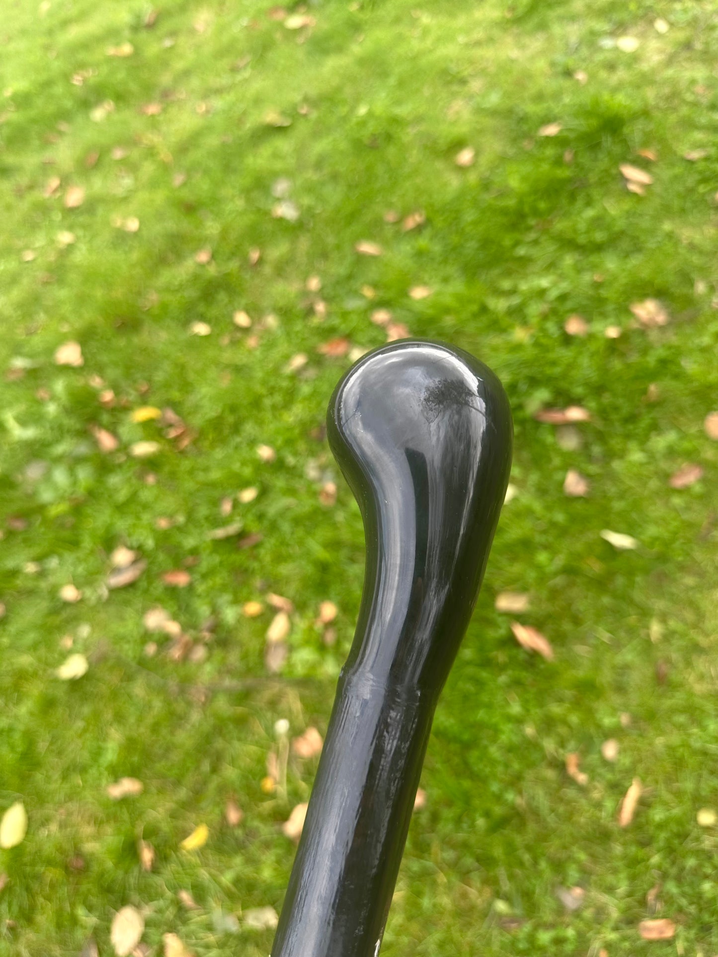 Blackthorn Walking Stick with Round Handle – Black Painted - 100 cm / 39 inches