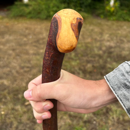 Chunky Blackthorn Shillelagh Knob Stick – 93 cm (36.6”)