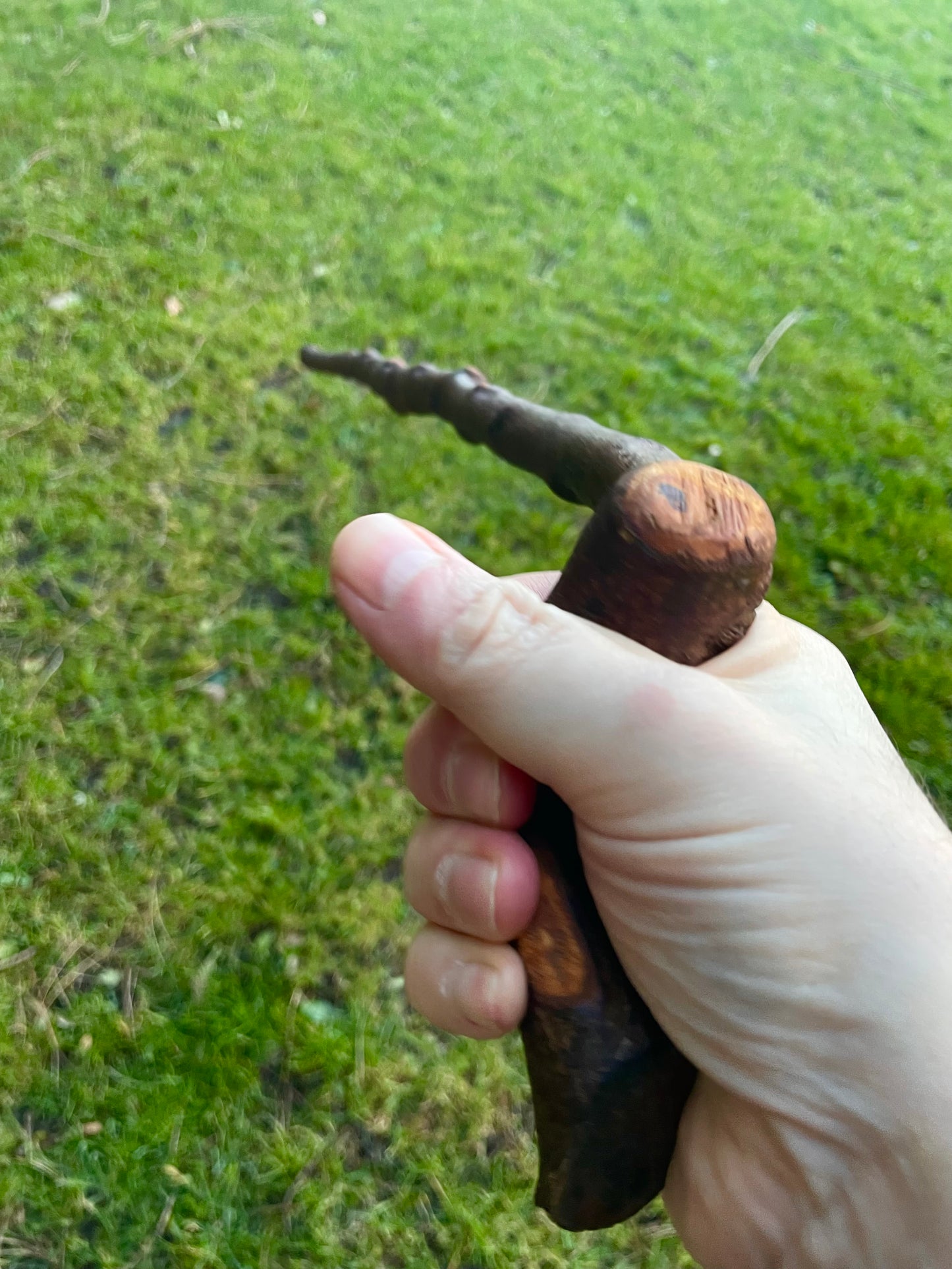 Blackthorn walking stick with sloped Handle