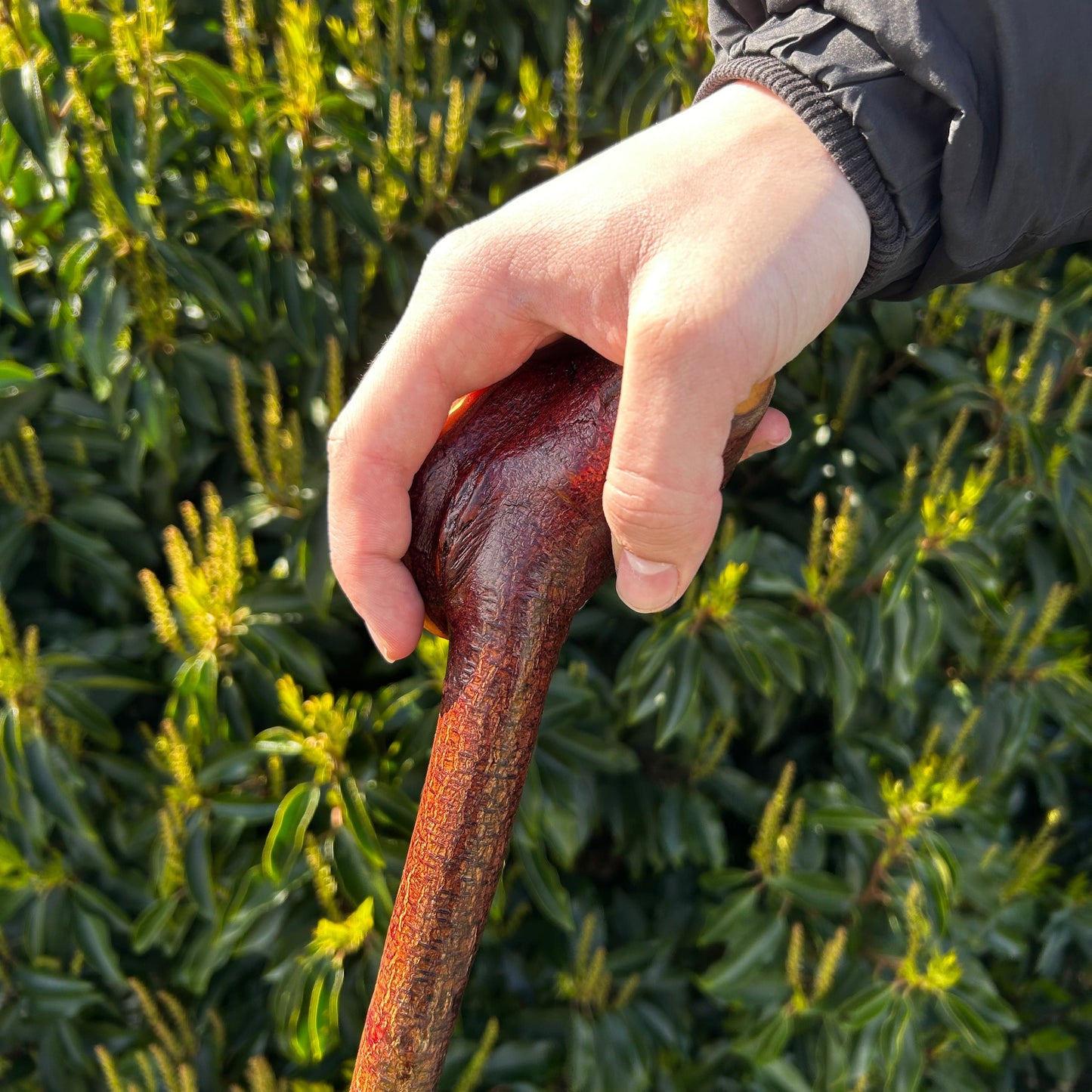 Blackthorn Root Ball Shillelagh – 90 cm (35.4”)