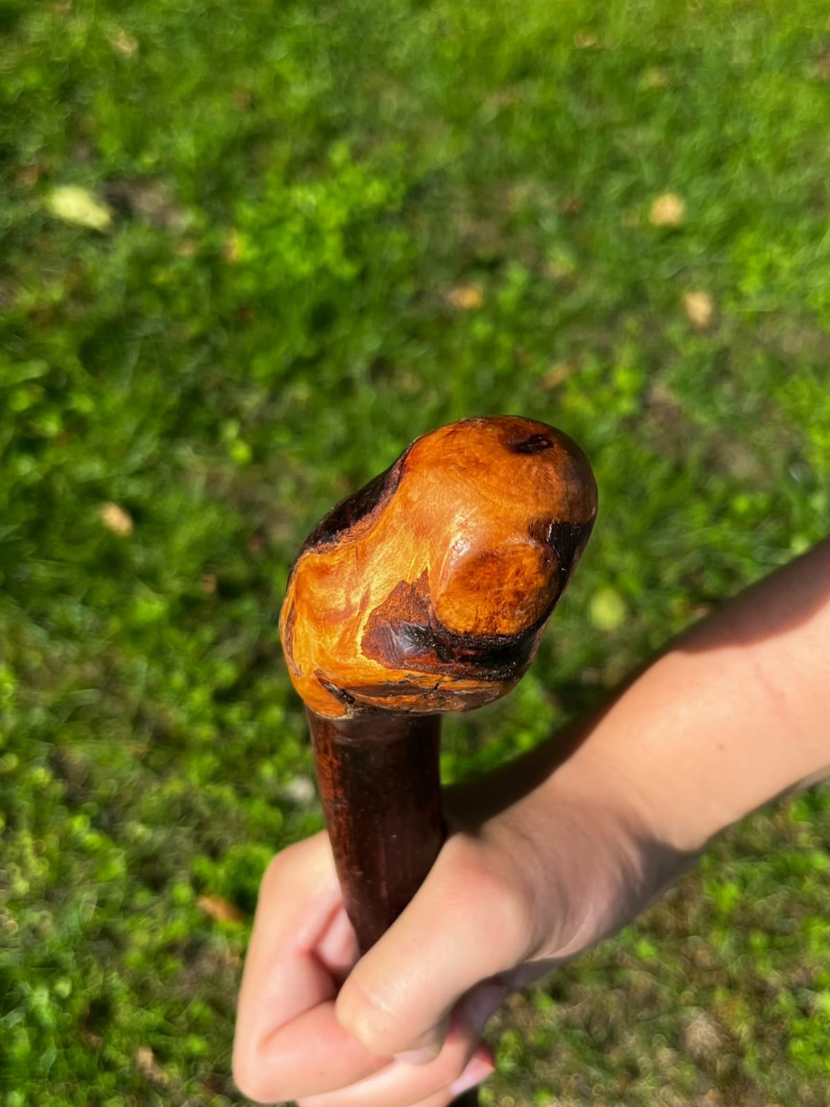 Rugged Blackthorn Shillelagh Knob Knuckle Stick – 87 cm (34.2”)