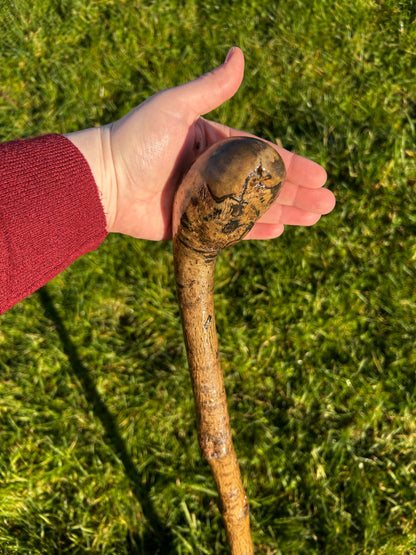 Spotted Hazel Knob Stick – 99 cm (39”)