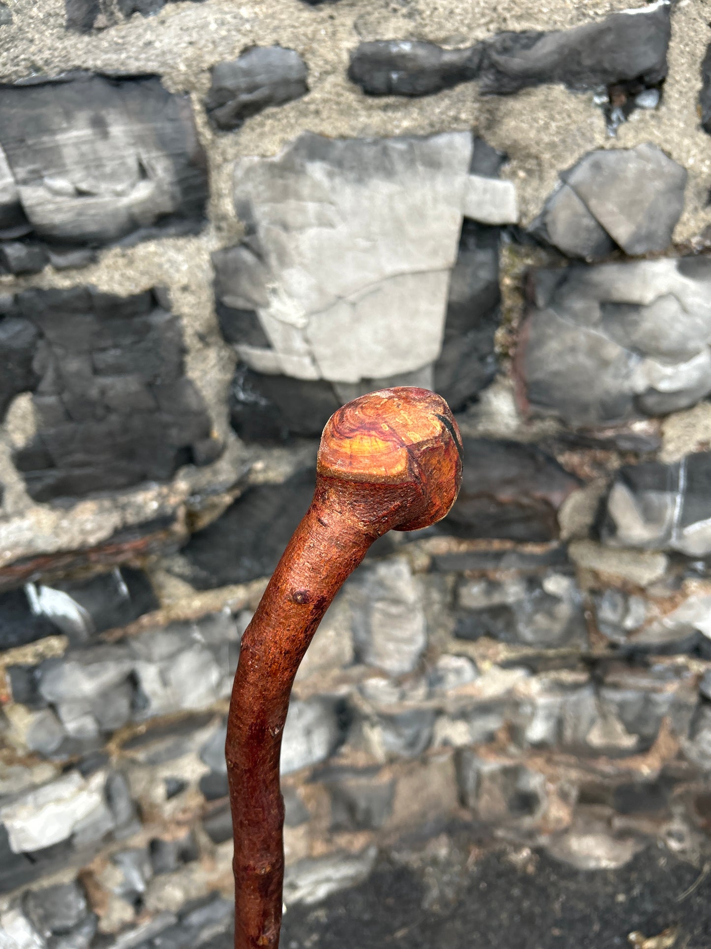 Blackthorn Walking Stick with Knob Head – 100 cm (39.4”)