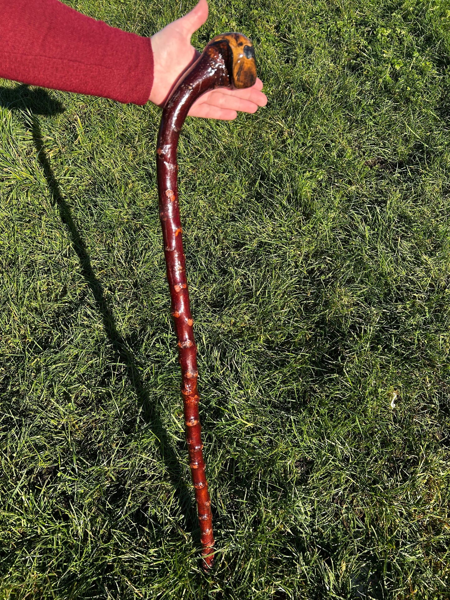 Blackthorn Curved Knob Shillelagh - 90 cm / 35 inches